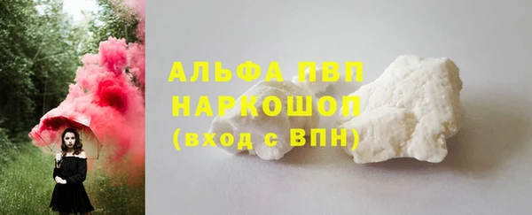 сатива Верхний Тагил